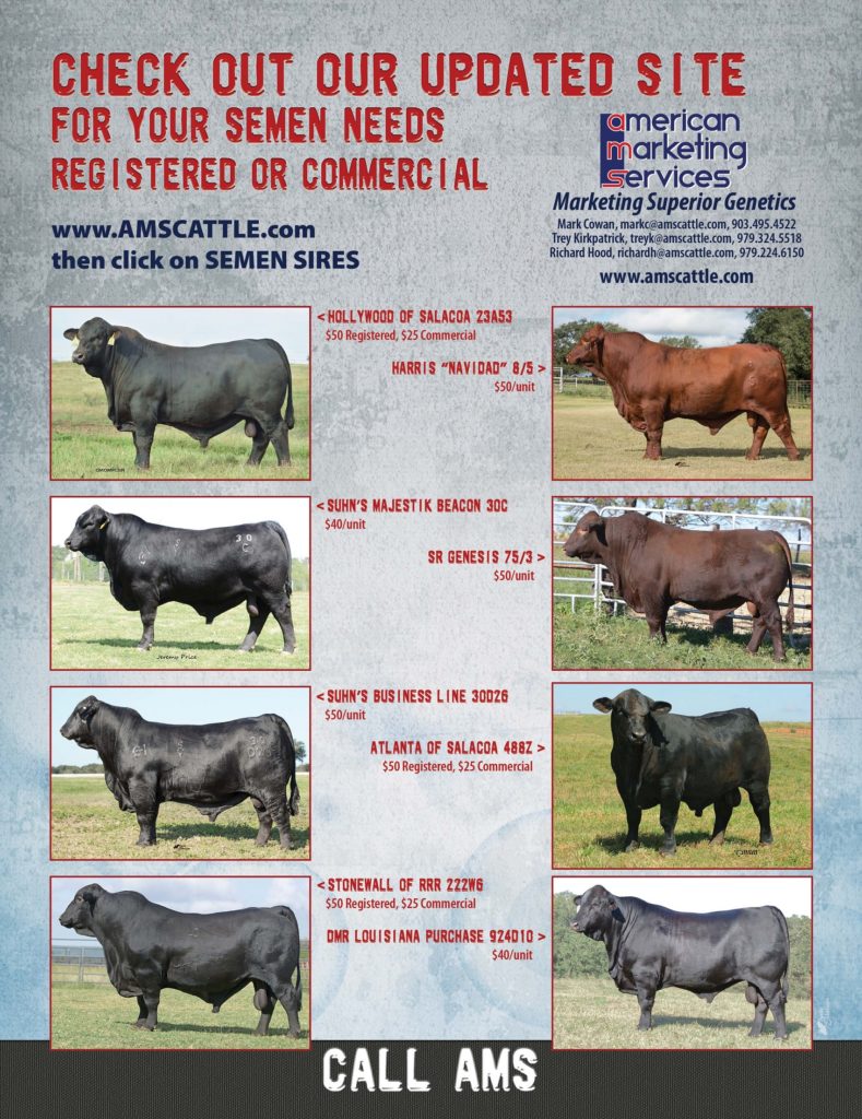 Spring 2019 Semen Sire Features
